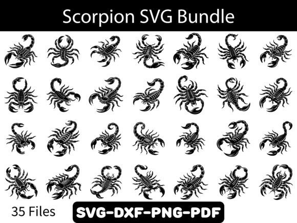 A Scorpion SVG Bundle Review from a Crafter's Perspective